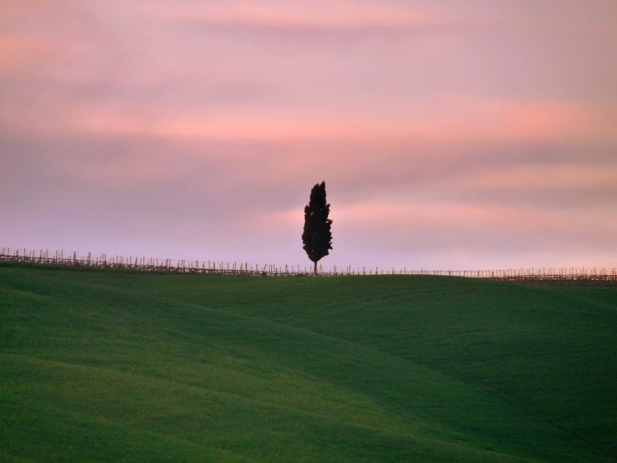 Val d'Orcia at dawn — cypress-lined roads winding through wheat fields and vineyards, the distinctive cone of Monte Amiata in the distance, the entire landscape a Renaissance painting come to life in shades of gold, green, and the pale blue of a Tuscan morning